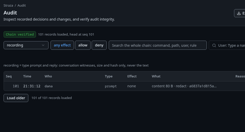 The Audit page under the lens recording, with the prompt record that keeps size and hash only