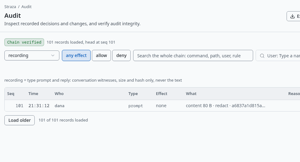 The Audit page under the lens recording, with the prompt record that keeps size and hash only