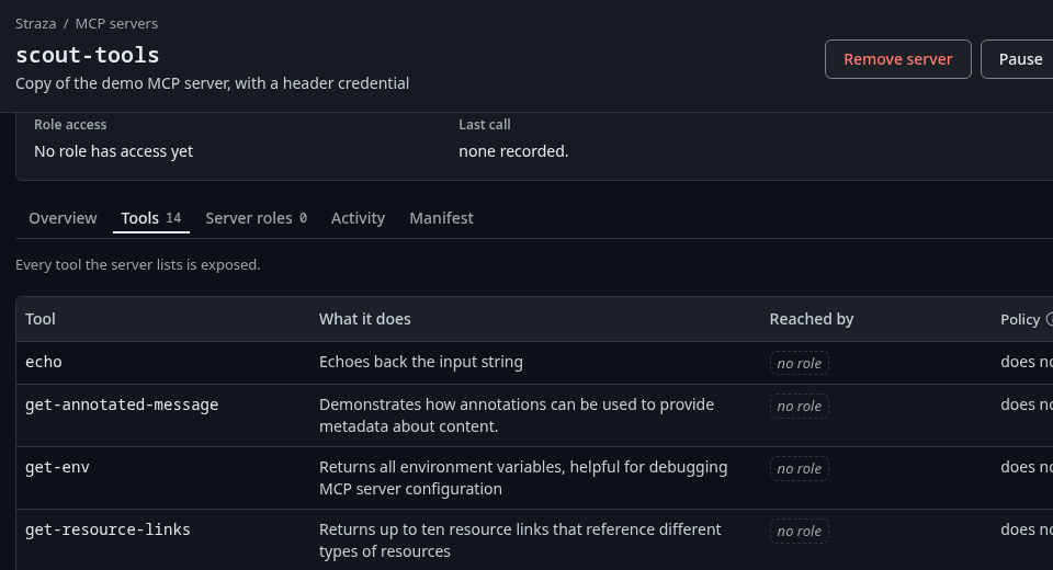 The scout-tools server page, Tools tab, with each tool and its description