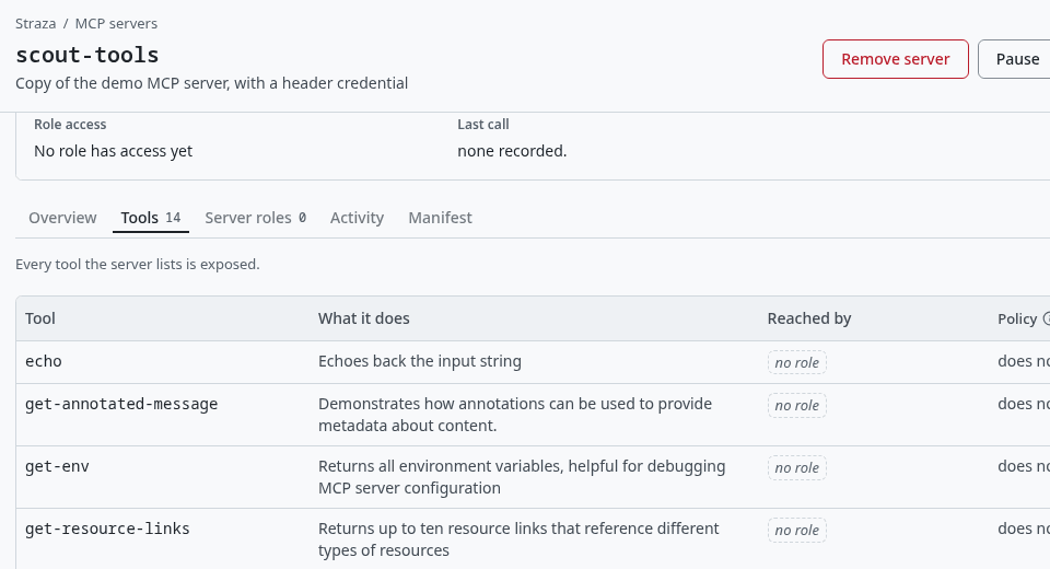 The scout-tools server page, Tools tab, with each tool and its description