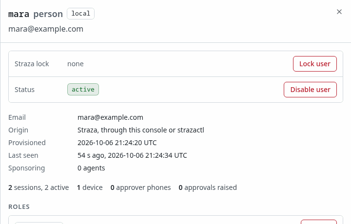 mara's sheet in the console, with Lock user and Disable user at the top
